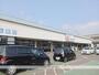 ドラックストア　カワチ薬品　岩切店（ドラッグストア）まで1400m