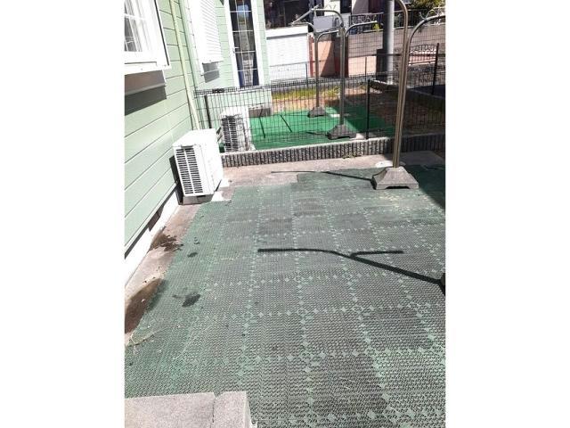 庭