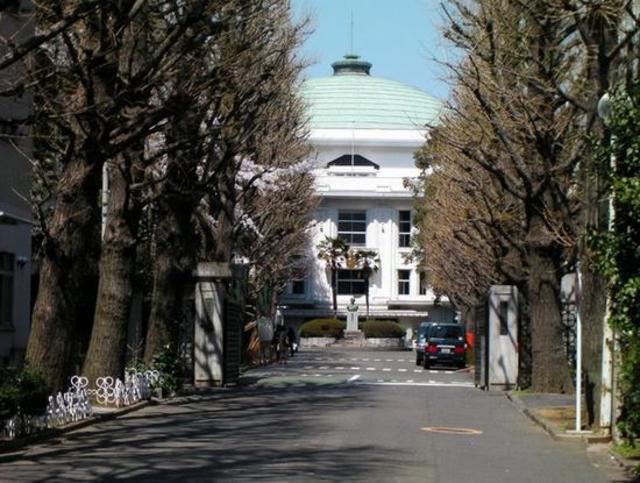 大学・短大　私立星薬科大学（大学・短大）まで537m