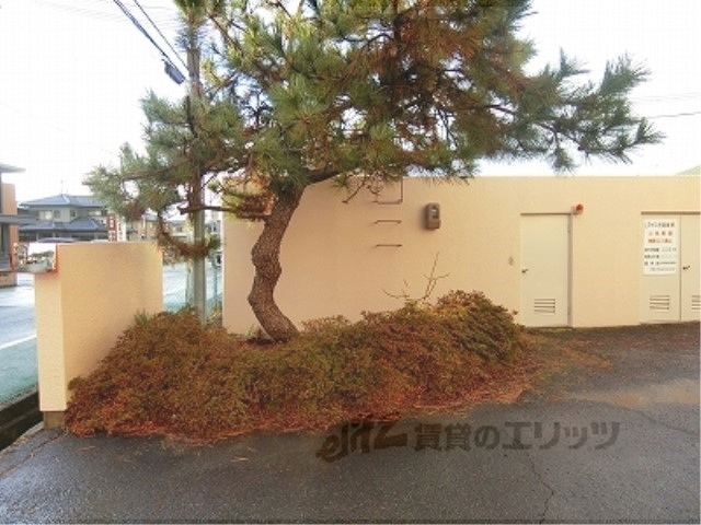 その他　植栽