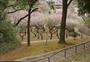 公園　岡村公園（公園）まで1014m