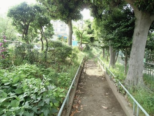 公園　上水公園（公園）まで150m