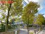 小学校　芦屋市立宮川小学校（小学校）まで800m