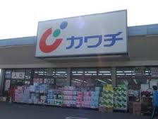 ドラックストア　カワチ薬品 城内店（ドラッグストア）まで859m