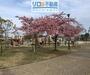 公園　昆陽南公園（公園）まで1135m