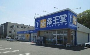 ドラックストア　薬王堂宮城松島店（ドラッグストア）まで1100m