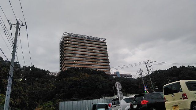 大学・短大　明星大学（大学・短大）まで610m
