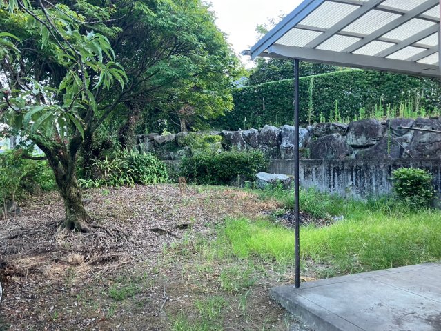 庭
