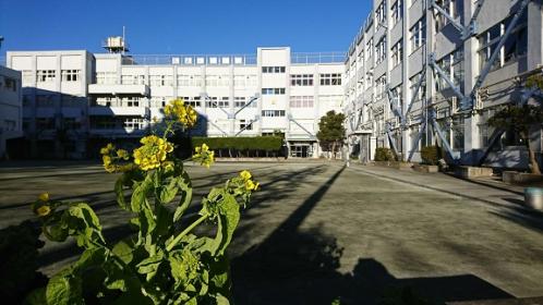中学校　品川区立浜川中学校（中学校）まで1073m