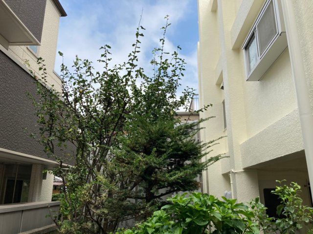 眺望　★テラスからの景色です★