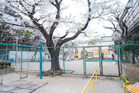 幼稚園・保育園　青柳保育園（幼稚園・保育園）まで110m