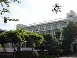 小学校　横浜市立篠原小学校（小学校）まで241m