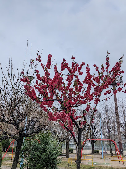 公園　真田山公園（公園）まで1582m