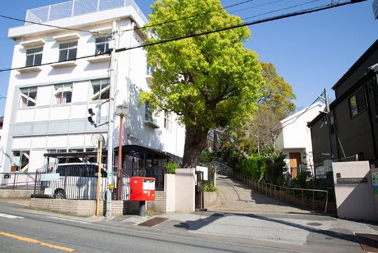 小学校　市川市立中山小学校（小学校）まで1362m
