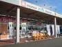 ドラックストア　ウエルシア静岡丸子店（ドラッグストア）まで350m