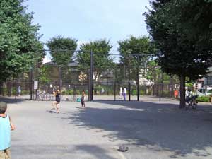 公園　中野区 桜山公園（公園）まで667m