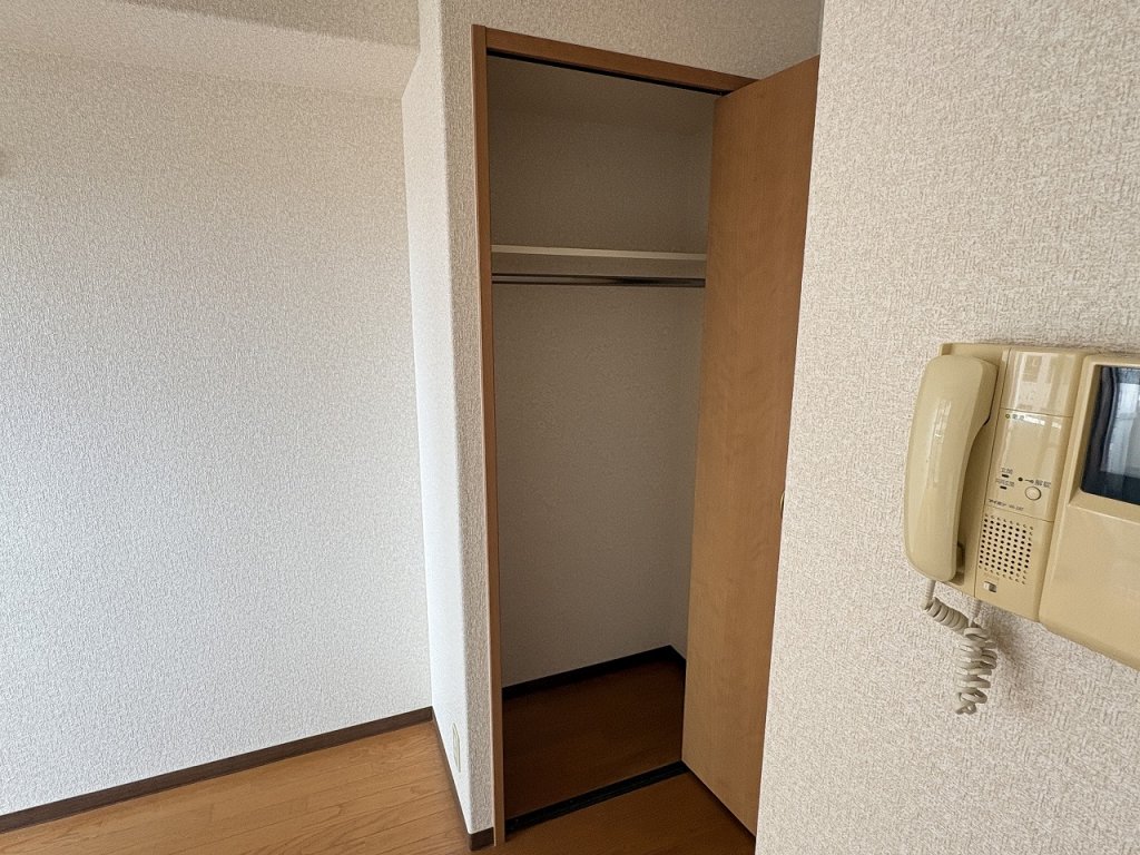 収納　クローゼット収納