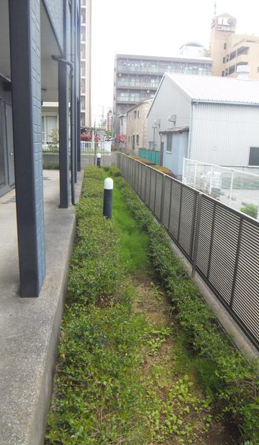 その他　植栽