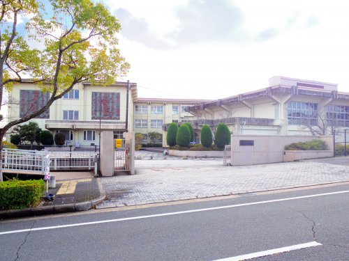 小学校　木津川台小学校（小学校）まで4762m
