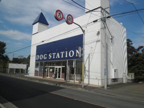 その他　ドッグステーション 国分寺店（その他）まで565m
