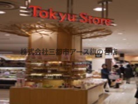 その他　セレニティ久が原