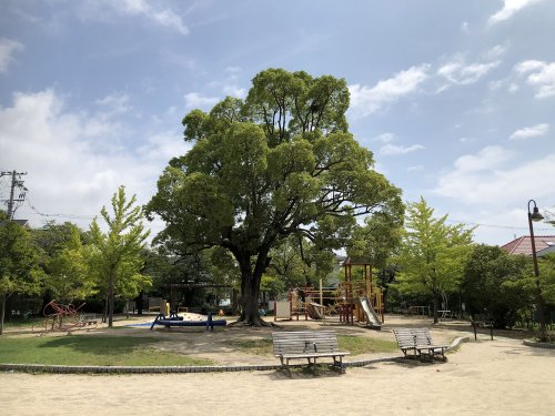 公園　芦屋津知公園（公園）まで1020m