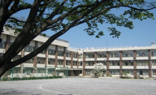 小学校　志村坂下小学校（小学校）まで252m