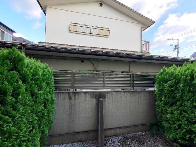 セレーナコーロのその他写真