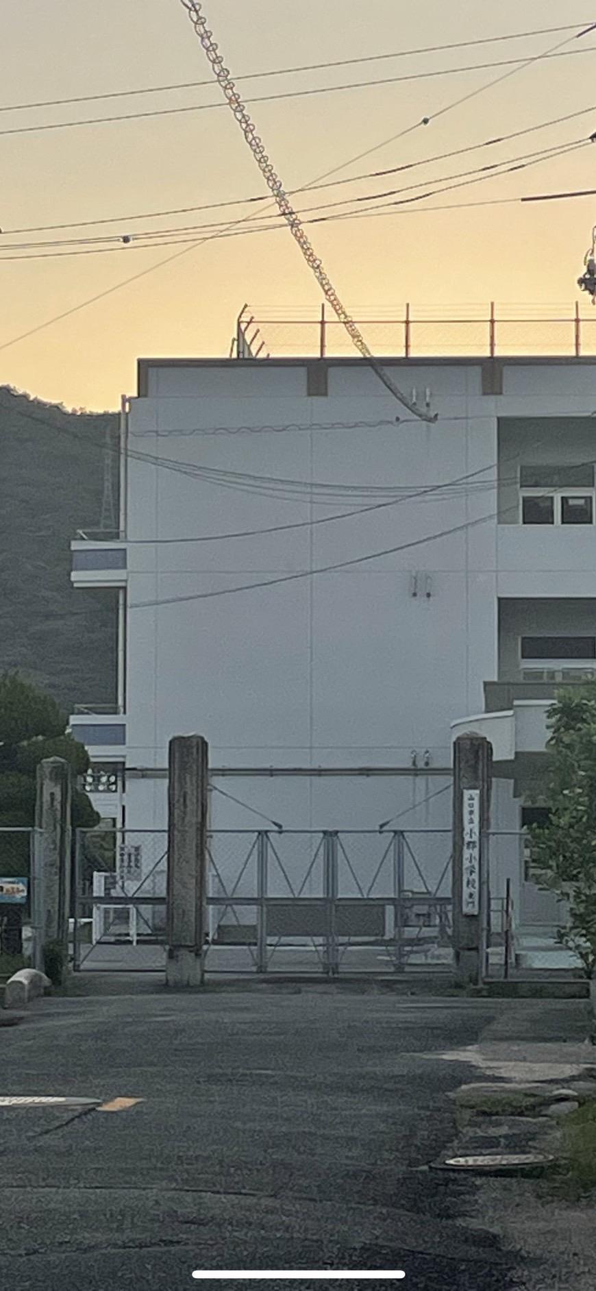 小学校　山口市立小郡小学校（小学校）まで1005m