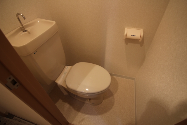 トイレ　他のお部屋の参考写真となります。