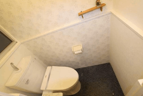 fluke 浅野のトイレ写真