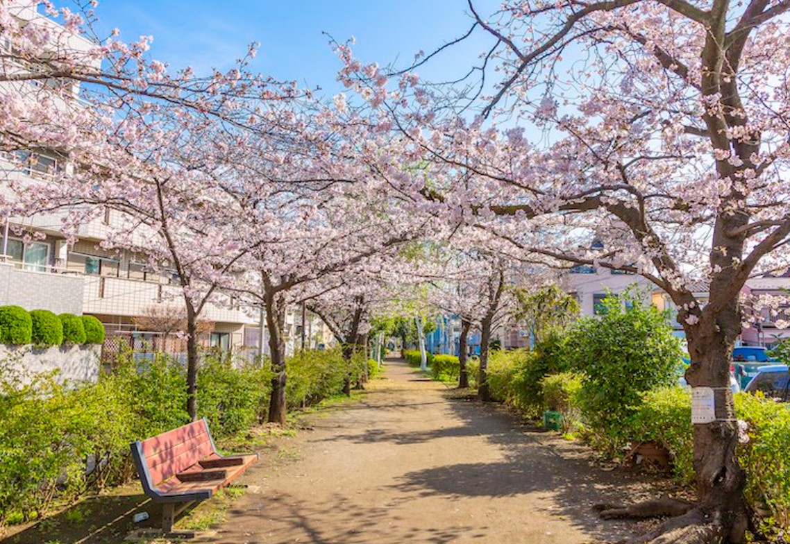 東急東横線 都立大学駅 徒歩15分 2階建 築33年の周辺写真