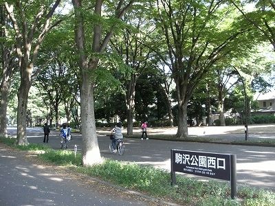 公園　世田谷公園（公園）まで357m