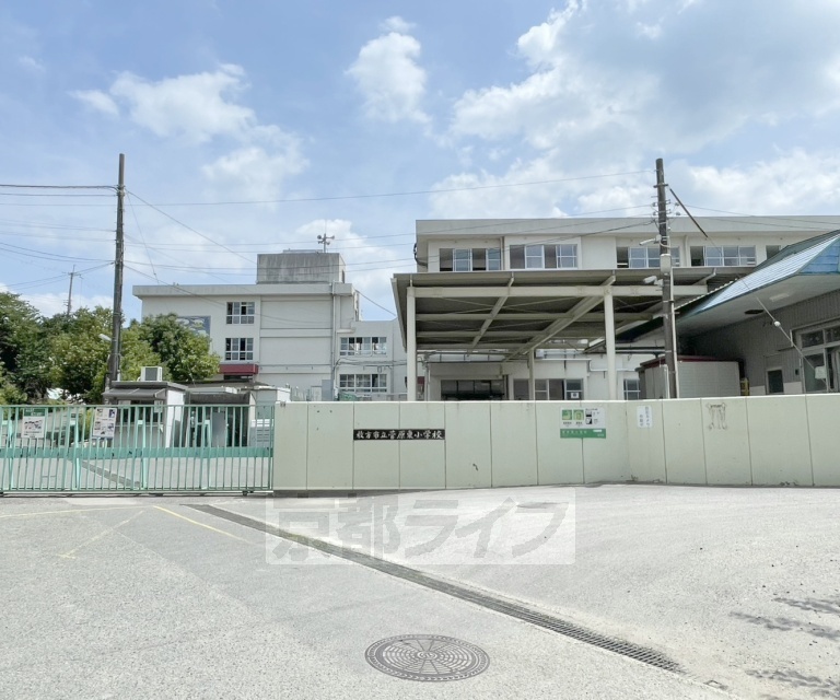 小学校　枚方市立菅原東小学校（小学校）まで862m