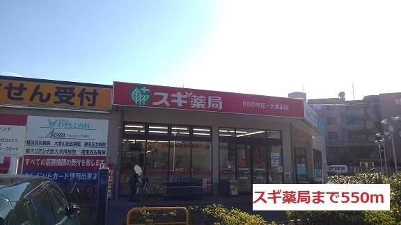 その他　スギ薬局（その他）まで550m