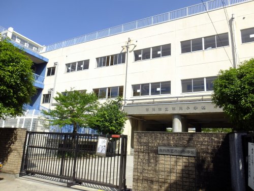小学校　市川市立市川小学校（小学校）まで884m