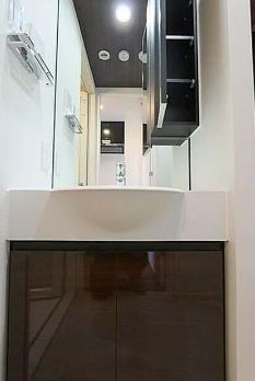 洗面設備　参考写真：別部屋タイプ