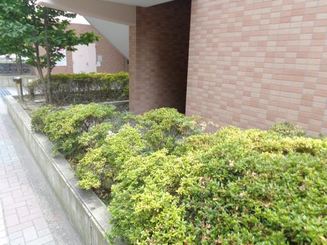 アーカスNのその他写真