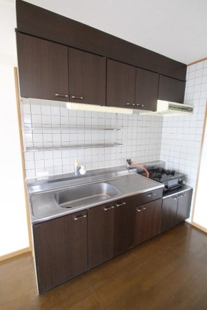 シカセビルのキッチン写真