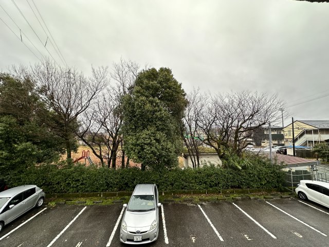 アベニール・アークのその他写真