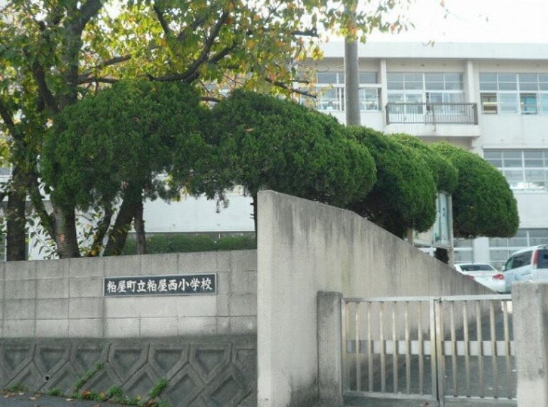 小学校　粕屋町立粕屋西小学校（小学校）まで575m