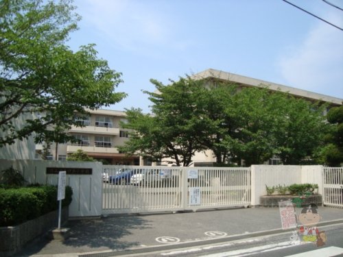 小学校　岡山市立伊島小学校（小学校）まで1032m