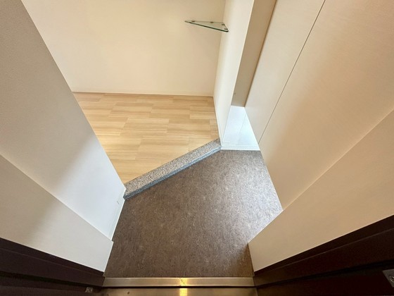 玄関　※別部屋の写真です