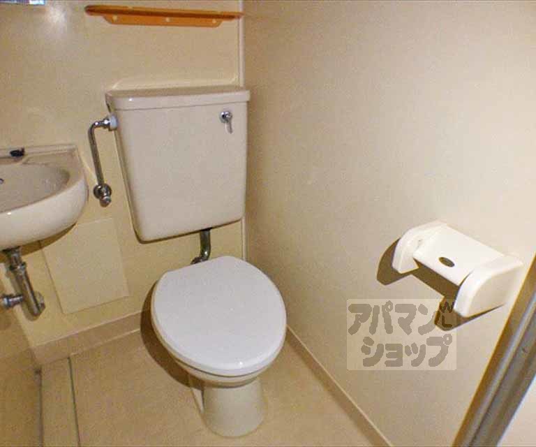 メゾン大垣のトイレ写真