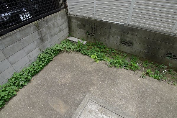マイメゾンの内装写真