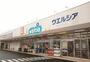 ドラックストア　ウエルシア江戸川本一色店（ドラッグストア）まで670m
