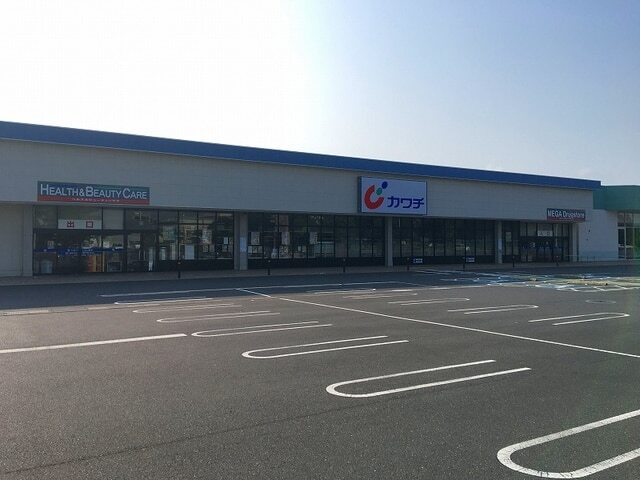 ドラックストア　カワチ大泉店（ドラッグストア）まで1200m
