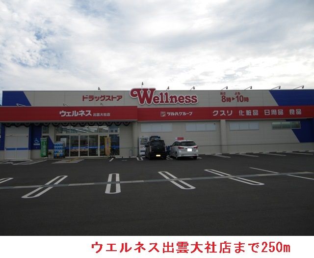 ドラックストア　ウエルネス出雲大社店（ドラッグストア）まで250m