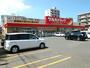 ドラックストア　ツルハドラッグ南8条店（ドラッグストア）まで248m