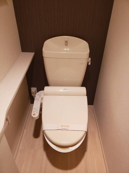 トイレ　同物件別部屋写真